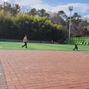 선암호수공원축구장(주말) 네이버블로그