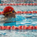 구.백성초 이미지