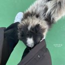 전라도 임실 캠핑장 강변사리캠핑장 고요하고 한적한 곳!