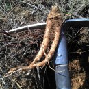 별마을농장 이미지