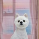 부티크멍 애견미용실 이미지