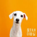 뭉치네 미용실 이미지