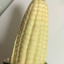 싸다고 아이스크림 이미지