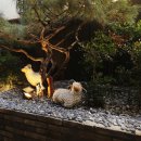 루소호텔 이미지