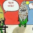 교동면옥대명점 이미지