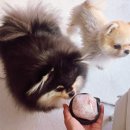 청라 호수공원 족구장 이미지