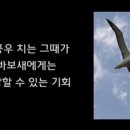 알바트로스 - 사상구 삼덕로74번길 28-2 | 알바트로스