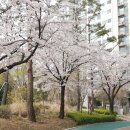 정천공인중개사사무소 이미지