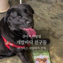 개발바닥친구들 이미지