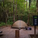 붉은오름자연휴양림2 이미지