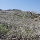 관동농장 이미지