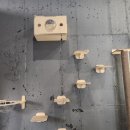 황금산 고양이 이미지