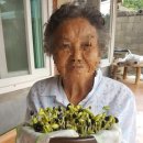 영동군 노인복지관 이미지