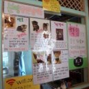 고양이숲 이미지