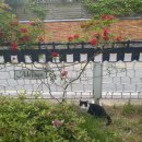 한국아파트 앞 이미지