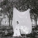 스튜디오 봉 이미지