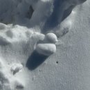 노선목장 이미지