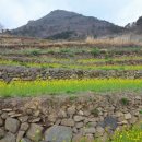 경산 조은 은하수 산악회 3 월 셋째주 정기산행 - 남해 발해길, 가천 다랭이 마을 이미지