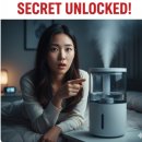 🚨 **경고:** 지금 쓰는 가습기, 혹시 &#39;이 문제&#39; 때문에 고생하고 계신가요? 이미지