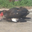 동녁골 농장 이미지