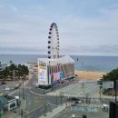 청초호유원지(중앙) 이미지