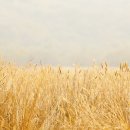 이좋은치과 - 용인시 기흥구 보정로 32 | 이좋은치과