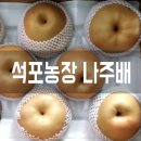 원항농장 | 부모님선물추천 나주배가 최고♡