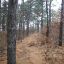 양평밸리관광펜션 이미지