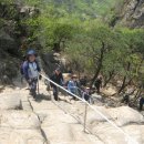 호수공원 삼거리(호수공원) 이미지