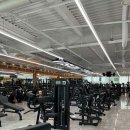 올페이스짐 이미지