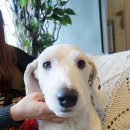 카페테라(Cafe tera) 이미지