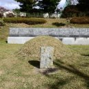 소 이야기 이미지