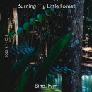 Little Forest