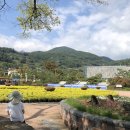 GR(합천군)-[가야산로]-하-3 | [합천여행]합천 대장경테마파크 - 경남 아이와 가볼만한 곳