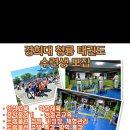 경희대청룡태권도 이미지