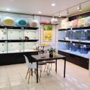 광주강아지분양 애견만세 이미지