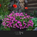 뜰커피 - 수원시 영통구 덕영대로1556번길 16 | 뜰커피