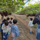 꿈꾸는숲유치원 이미지