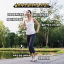 슬로우도 티스토리