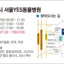 24시예스동물병원 이미지