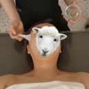 에스티 | 영종 운서역피부관리샵 윤에스티 수분케어 후기