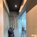 효창 골프연습장 | 이지골프 도화동골프에 다니고 있는 후기입니다