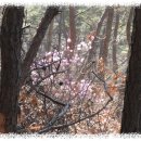 서구-01-04 이미지