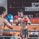 위너 복싱 이미지