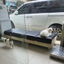 와우종합동물병원 이미지