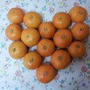 땡큐에브리원 이미지