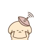 멍블랑 반려견미용실 이미지