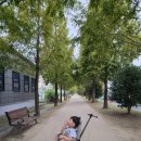 카플러스 | 휴대용 유모차,에이블유모카플러스 트라이크 후기