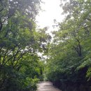 임걸령옹달샘 이미지