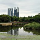 서울숲9 이미지